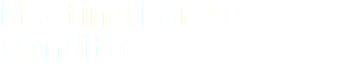 Meeting Forza Vendita